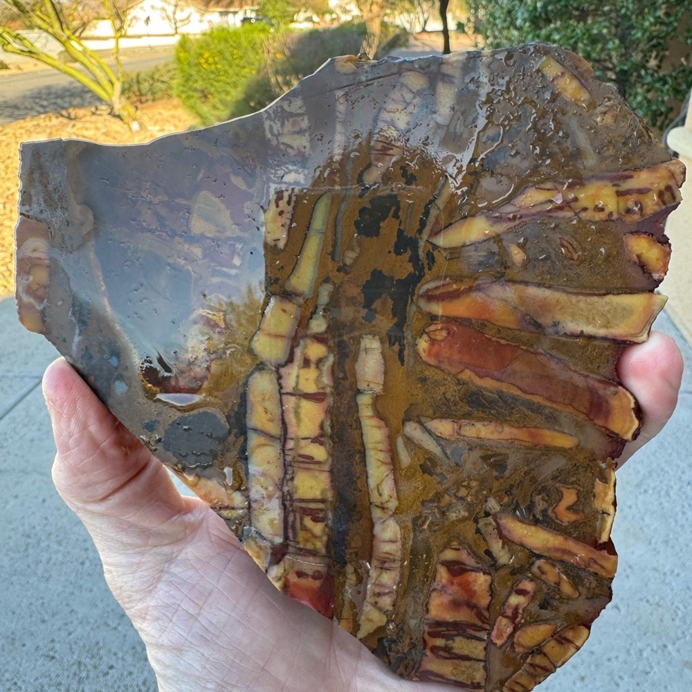 Andromeda jasper slab from Africa - Picture 5 of 6